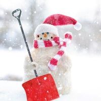 Concours de bonhomme de neige